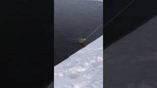 -30 на сеть СибКаст