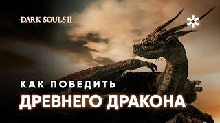 Как победить ДРЕВНЕГО ДРАКОНА в Dark Souls 2, подробный ГАЙД