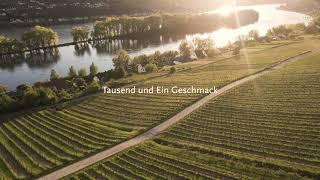Weingut Mohr "Tausend und ein Geschmack"