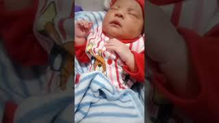 new born baby ️
