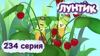 Лунтик и его друзья - 234 серия. Ягодка