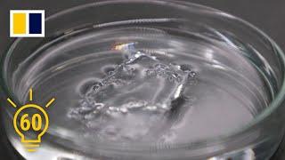 Japan’s researchers develop ocean-friendly plastic