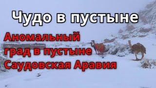 Чудо пустыни! Аномальный град в в Саудовской Аравии, Тайф 7 ноября  | Катаклизмы  изменение климата