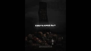 Cogito ergo sum - I think therefore I am #edit #alightmotion #cogitoergosum
