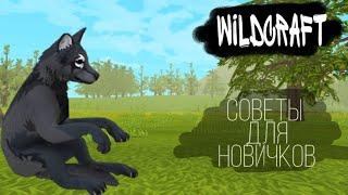 WildCraft / Советы для новичков / Tips for beginners