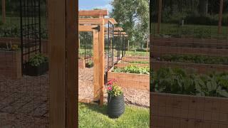 Perfect Garden- don’t make this mistake!