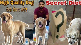 Dogs full day diet plan || diet for adult dogs || by Sikri kennel || #dog #trending#diet #food #lab