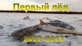 Первый лед 2022-23. Рыбалка. Хариус клюет отлично. First ice fishing 2022-23.  Arctic grayling.