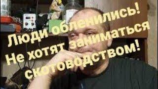 Наши люди обленились в корень! Не хотят зарабатывать!