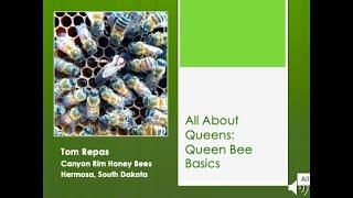 2  All About Queens: Queen Bee Basics