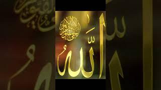 Surah al-Fatiha: The Divine Opener for Abundance and Guidance #short #Somi tube #Nejahmedia
