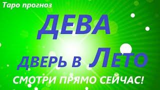 ДЕВА  таро прогноз/гороскоп на ИЮНЬ ИЮЛЬ АВГУСТ  Любовь, Карьера, Финансы 