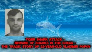 Tiger Shark Attack - Beware of Sharks in the Ocean - The tragic story of 23-year-old Vladimir Popov