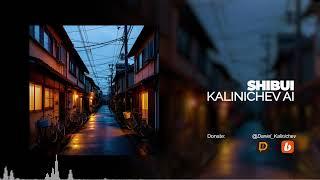 Shibui - KALINICHEV AI