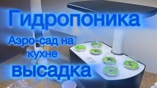 Гидропоника Aerogarden