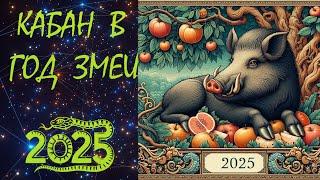 КАБАН (свинья) в 2025 году/Восточный гороскоп для КАБАНА (свиньи) на 2025год / КАБАН В ГОД ЗМЕИ.