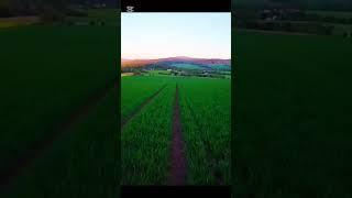Best place #mtb #trending #viralshort #bike