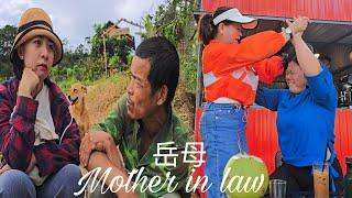 Mother-in-Law's Violent Clash with Debt Collectors: Hằng's Desperate Search for Tuấn |LyPhucHang