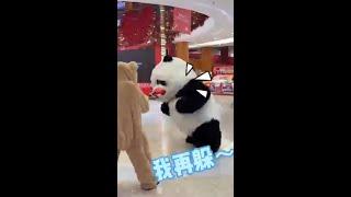 Funny panda and bear Cute video #shorts #funny #cute #panda #video