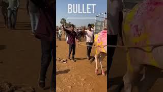 Uran Express Bullet️ #bailgadasharyat #nadekach #sharyat #maharashtrabailgadasharyat #viralvideo