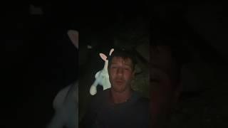 Bunnyman Attacked Me…