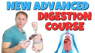 Who Can Benefit From Our New Advanced Digestion Course