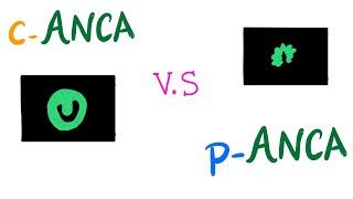 c-ANCA VS p-ANCA (Autoantibodies) | Autoimmune Diseases