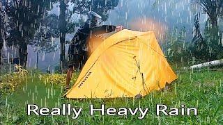 CAMPING IN REAL HEAVY RAIN, RELAXING SOUND OFF REAL HEAVY RAIN