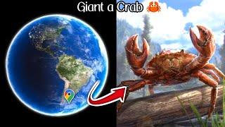 Giant Crab  On Google Earth #maps #3d #viralvideo #googleearth #googlemaps #gps#yt #crab