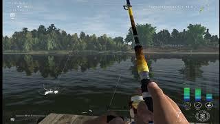 Fishing Planet1.2.4-Уникальный берш/Ахтуба