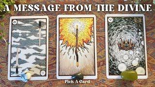 A Message From The Divine, Just For You *Timeless* Pick A Card | Tarot Reading