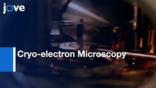 Cryo-electron Microscopy Specimen Preparation (Focused Ion Beam)