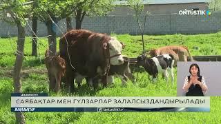 САЯБАҚТАР МЕН ГҮЛЗАРЛАР ЗАЛАЛСЫЗДАНДЫРЫЛАДЫ