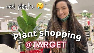 Let's go plant shopping at TARGET and haul! | Lots of sad plants | February 2022