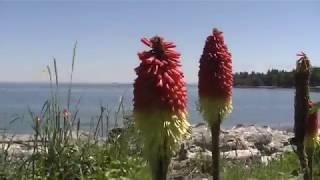 Metchosin Albert Head lagoon