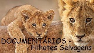 DOCUMENTÁRIOS -  Filhotes Selvagens