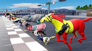 49 Incredible Animals Race Go Head-to-Head in the Animal Grand Prix !