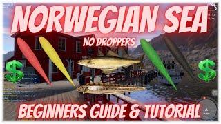 Russian Fishing 4 Norwegian Sea Beginners guide & Tutorial