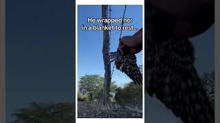 This owl wanted help saving his friend #wildliferescue #owl