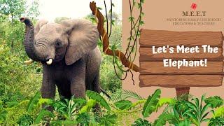Let's meet the Elephant! preschool learning videos for kids-wild animals(Asian and African Elephant)