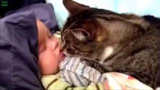 Best Babies and Animals Compilation