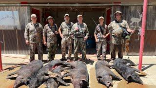 Boar hunting at the Double D Ranch! (Big Pigs)