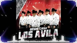LOS AVILA  Los Mejores Canciones  Huapangos y Norteñas MIX Para Bailar