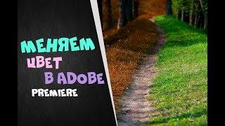 Как изменить время года в Adobe Premiere Pro | Быстро и просто изменить цвет листьев в кадре