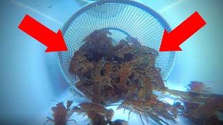 How to Catch Crawfish (UNDERWATER GoPro View!)