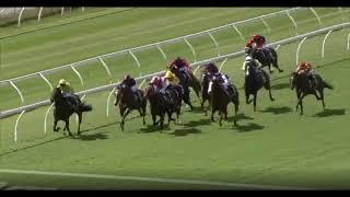 Australian Bloodstock has purchased LONGBOTTOM