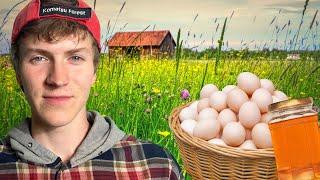 Small Farm: 5 Eggs Every Day, 500kg of Honey Per Year, Vegetables