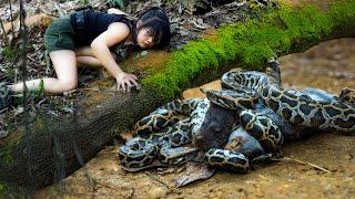 It's Strange That The Girl Raises Big Pythons In The Forest By Herself/ How to Survive for Days, P.4
