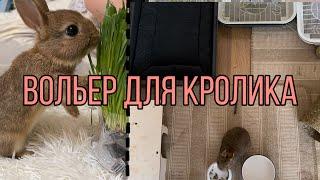 Вольер для кролика| Переезд| Купили кролика