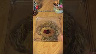 Transform your furry friends into art#glasspainting #petpainting #catpainting #dogpainting